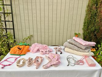 Puppy Small Dog Supplies See 3 Photos Harness Bowls Leash