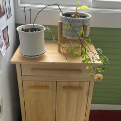 Free miniature yellow rose plant