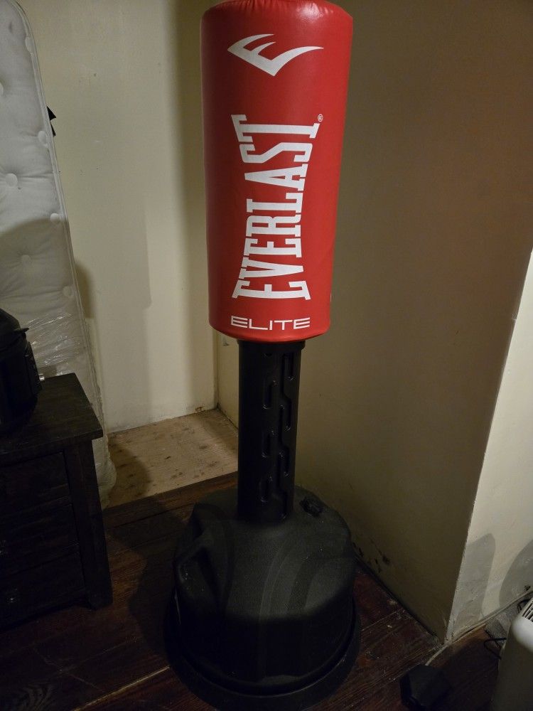 Standing Boxing Bag....everlast