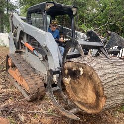 Clean Up Yard Debris  