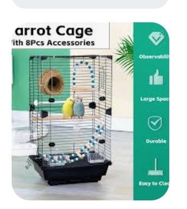 Stack Bird Cage Parakeets & Cooktail