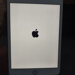 iPad Mini 3