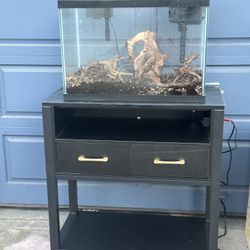 20g Aquarium Bundle