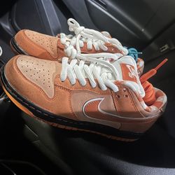 Sb Dunks Lobster 🦞 