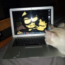 MacBook Air 13 Inch 2017 (NYC DOE but it's Unrestricted)