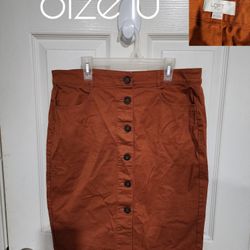 Womens Size 10 Skirt