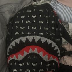 Spray ground backpack