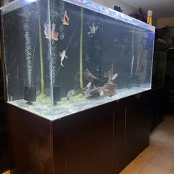 Fish Tank Aquarium 340 Gallon Acrylic 