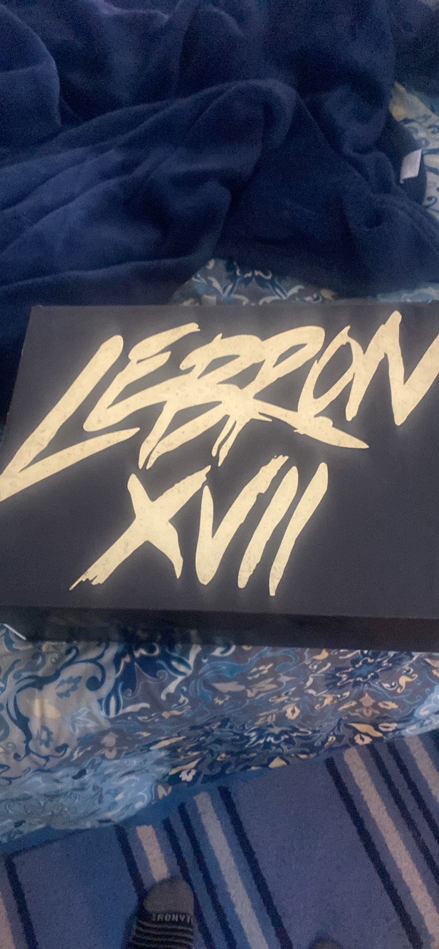 LeBron 17