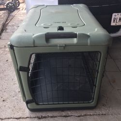Kennel. Dog
