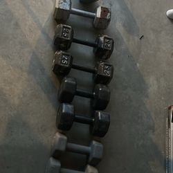 Weights 8lbs-25lbs 