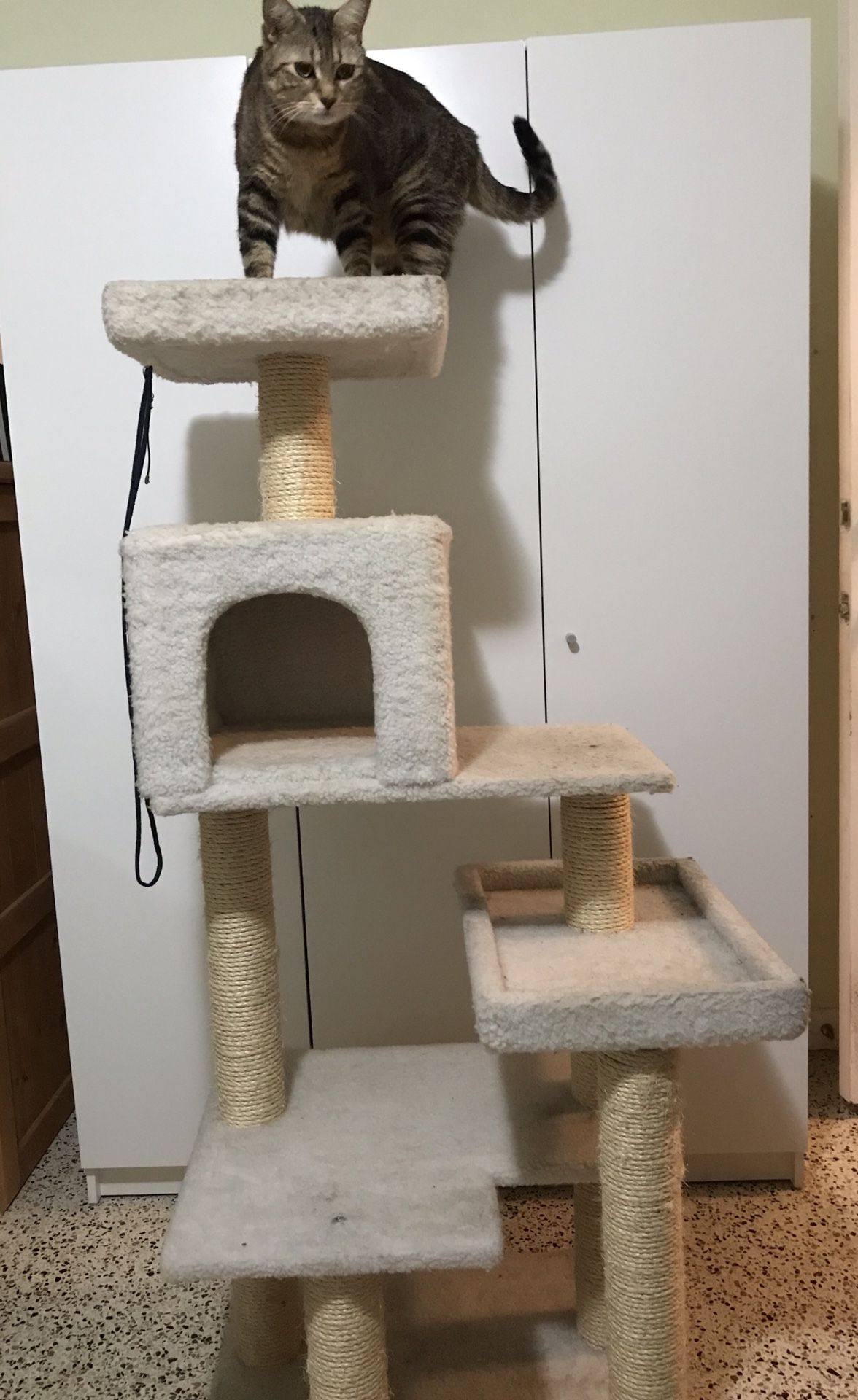 Cat tree and scratcher