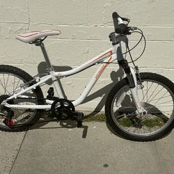 Specialized 20in MTB