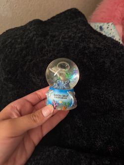 little santa cruz snow globe