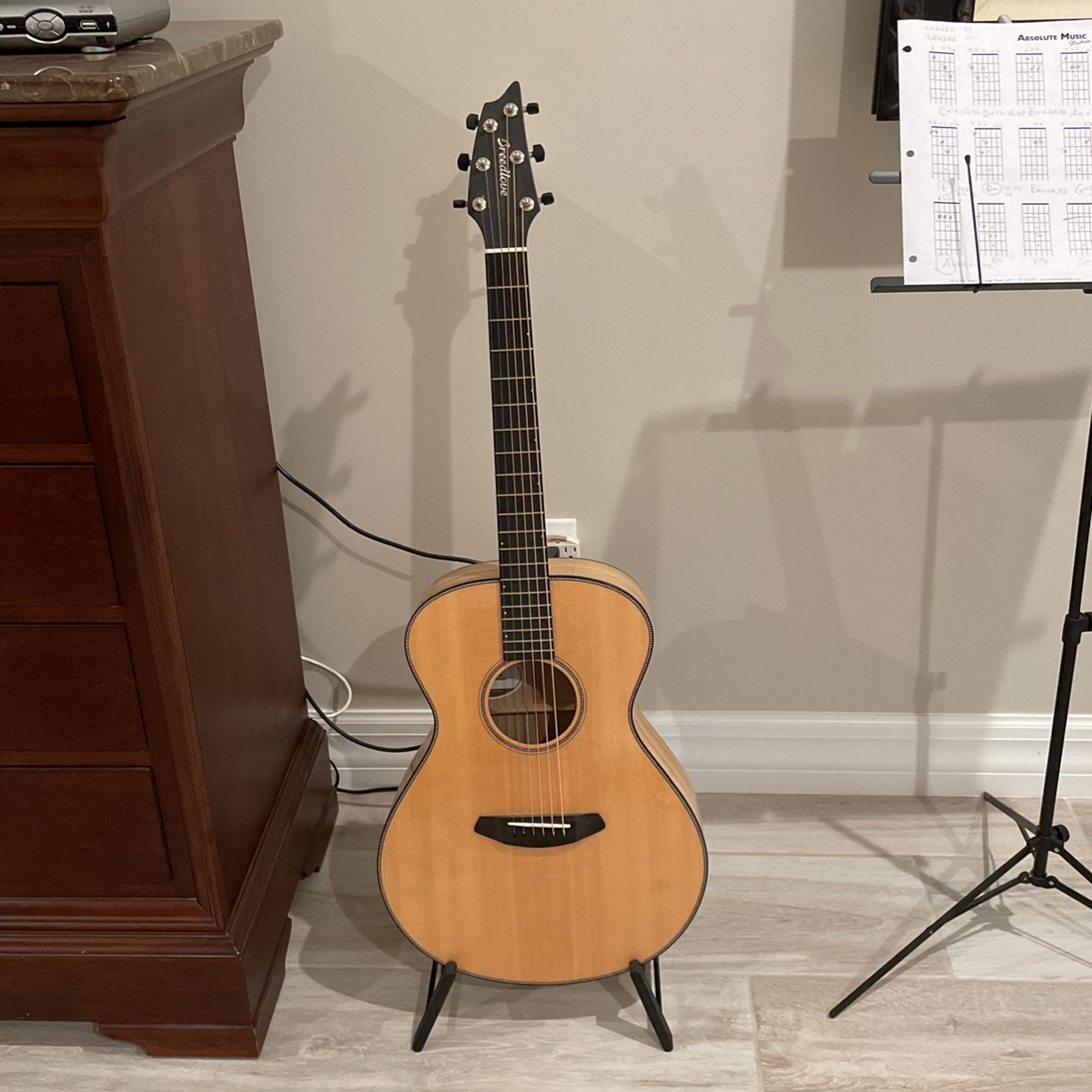 Breedlove Left Handed Acoustic guitar
