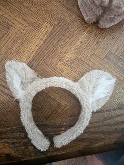 Great Wolf Lodge Ears