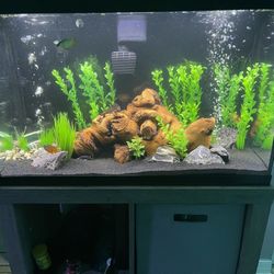 35 Gallon Fish Tank 