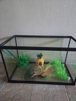 Acuario para peces en Vuenas Condiciones