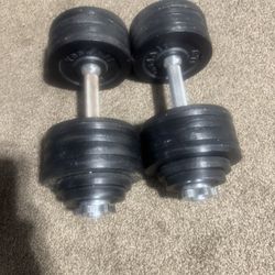 Adjustable Dumbells 