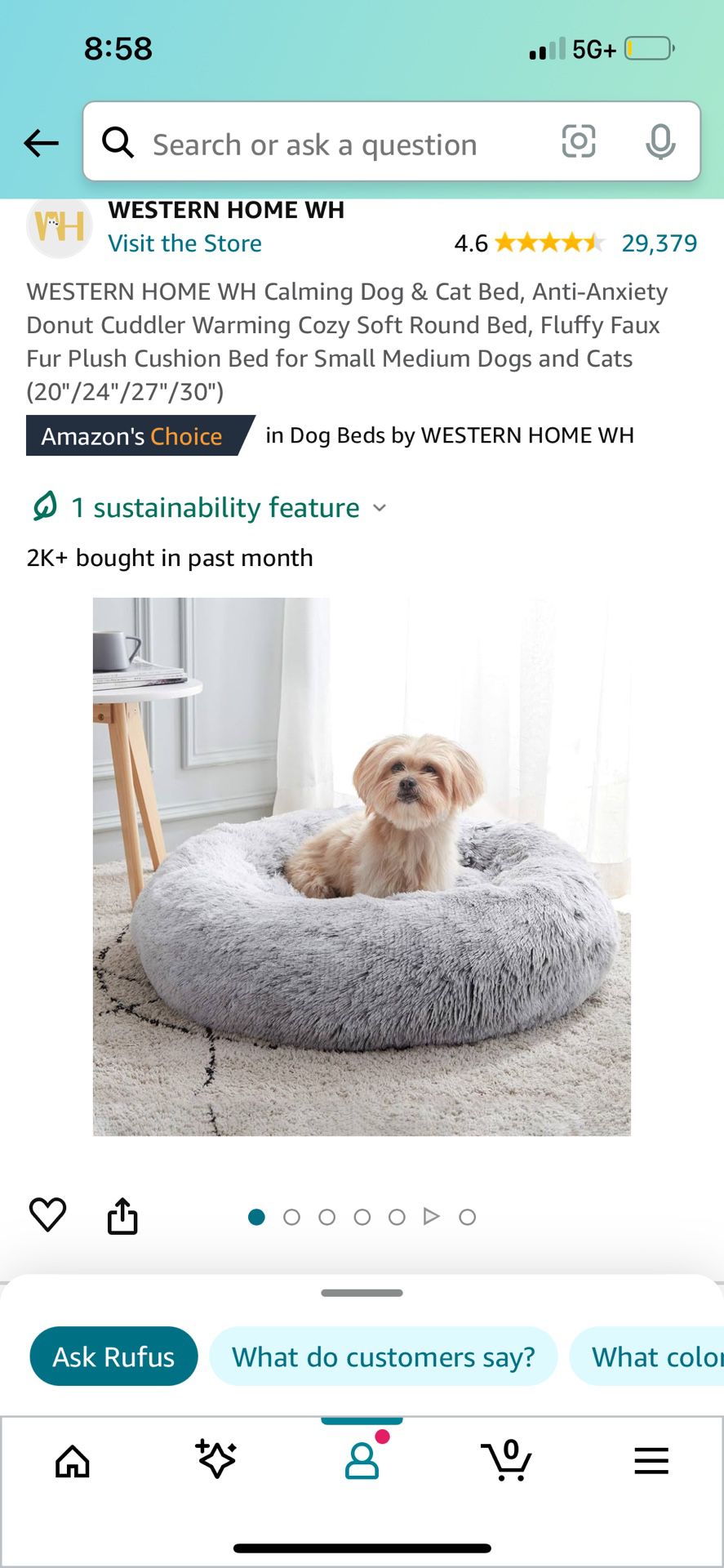 Brand New Small Dog Bed