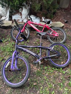 Two bikes, $30 for both