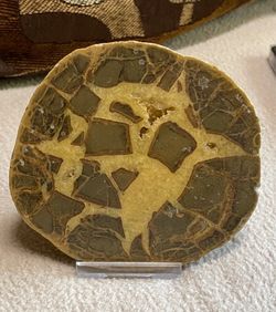 Geode — Septarian Nodule - Lapidary Stone
