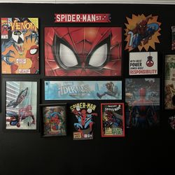 Spider Man Wall Art
