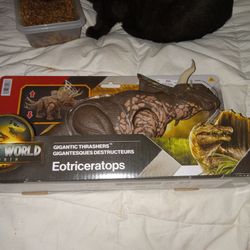 Brand new dinosaur.toy