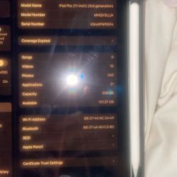 iPad Pro 256gb 3rd Generation 11inch M1