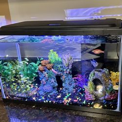 Glow Fish Fish Tank With Everything In It!!