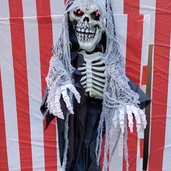 Hanging Skeleton Prop With Lights And Sound