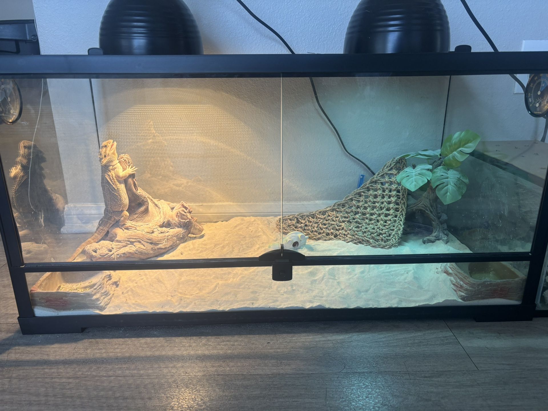 40 Gallon Reptile Enclosure