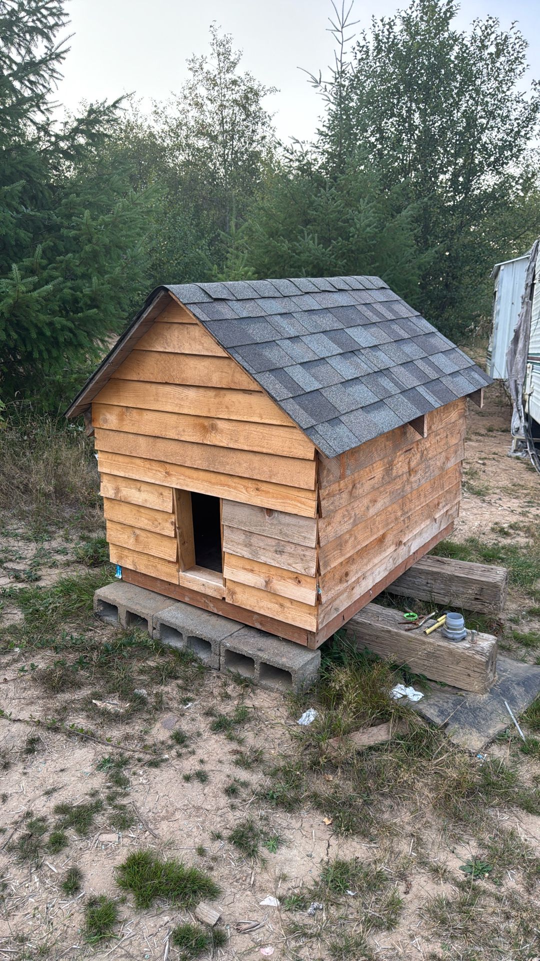 Dog House