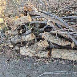 Free Firewood