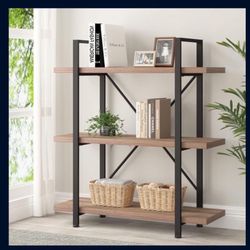 Book Shelves 