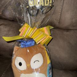 Graduation Squishmallow Owl