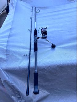 10ft surf rod