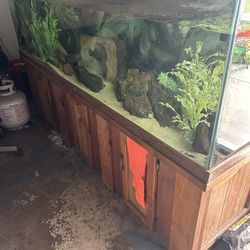 280 Gallon Fish Tank