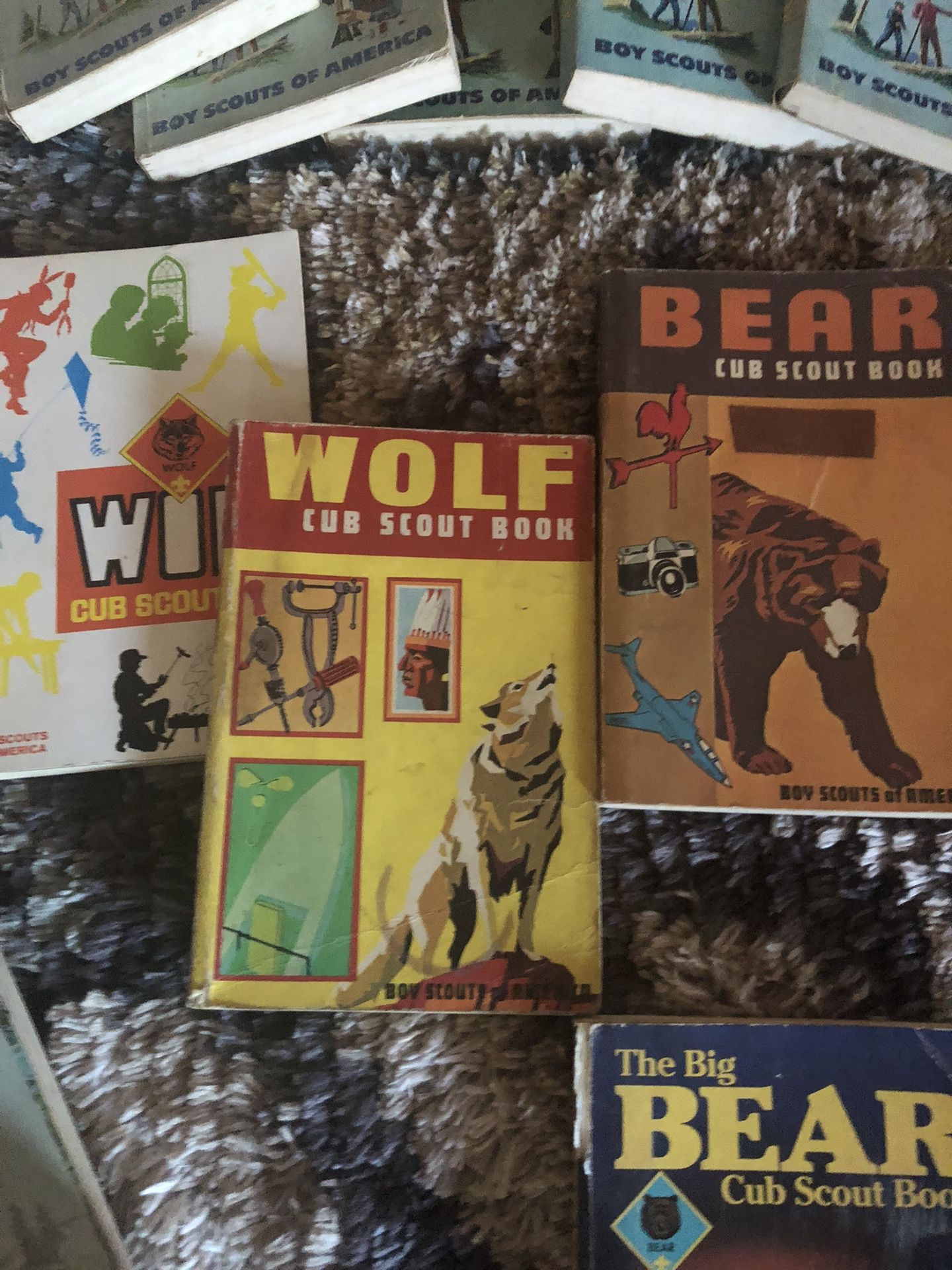Boy Scout Handbooks