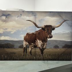 Cow Canvas 