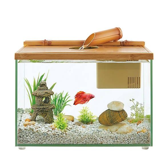 (Used)Top Fin Betta Bamboo Waterfall Desktop Aquarium
by Top Fin