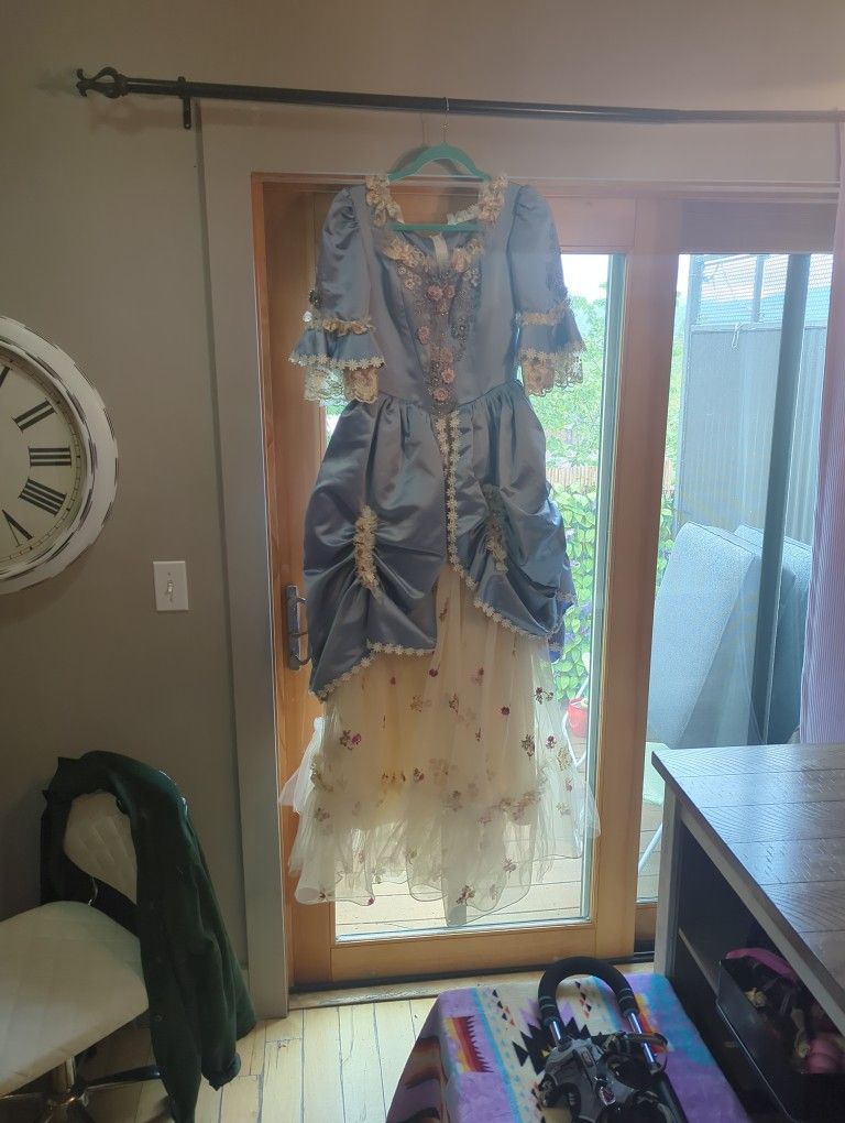 Cinderella Dress Costume Very Realistic Well Made