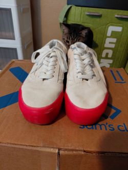 Vans shoes