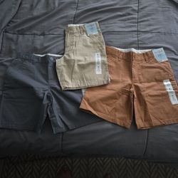 New Cat And Jack Shorts 
