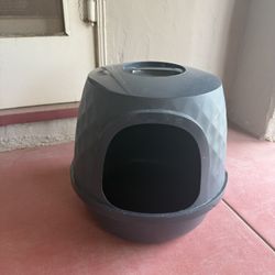 Litter Box