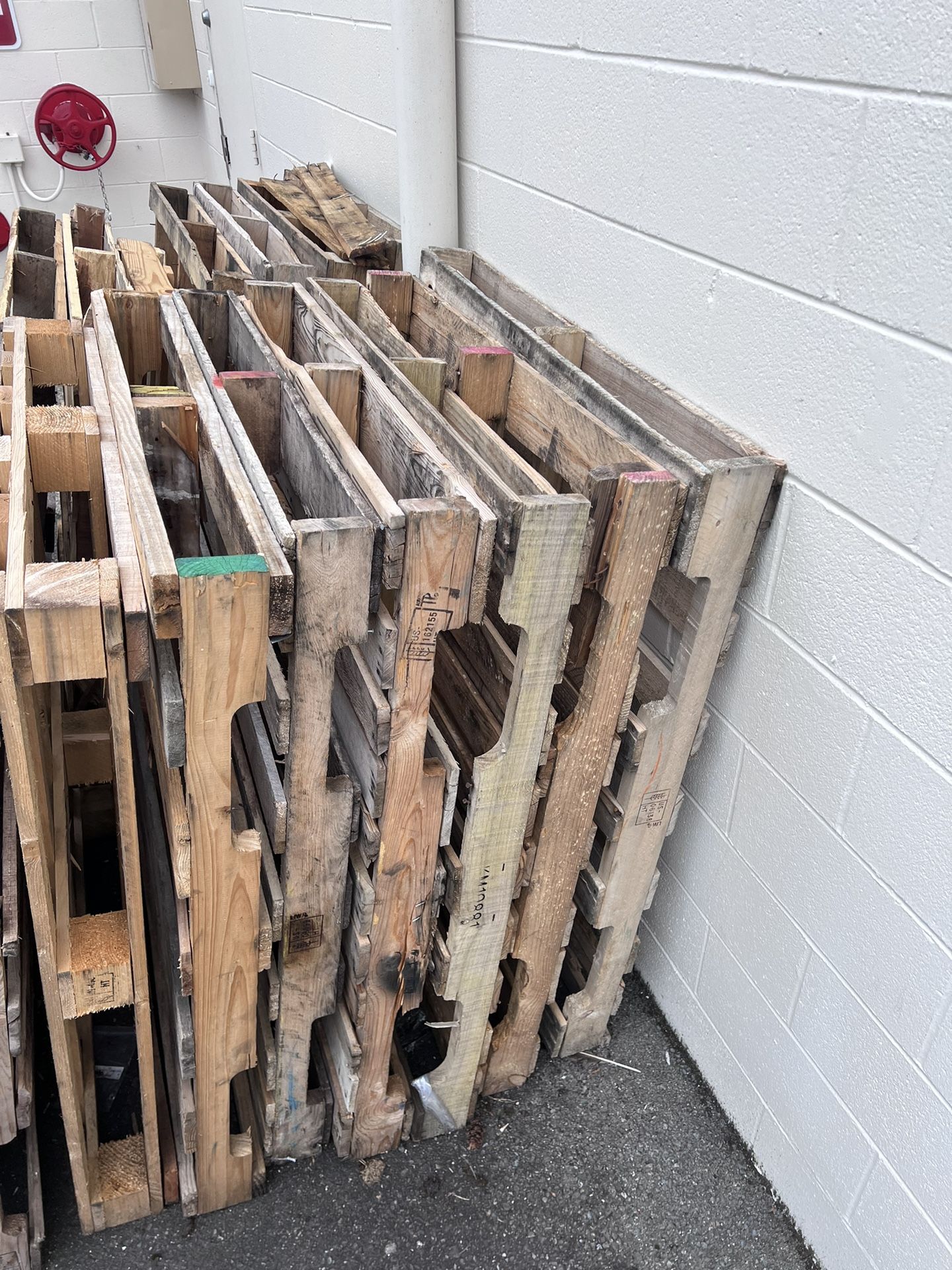 FREE FREE 30 Wood Standard Size Pallets 