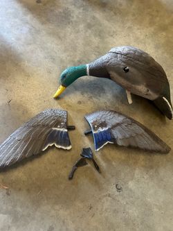 Duck hunting decoys
