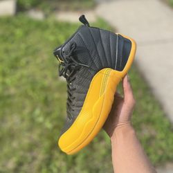 Jordan 12 
