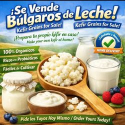 Selling / Se Venden Bulgaros / Kefir Grains/ Granos