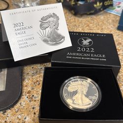 Silver 1 OZ cert American Eagle “W”